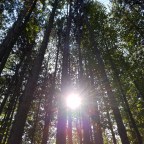 Signals of change….