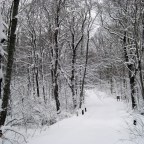 Fresh Starts & New Adventures…