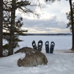 Don’t hibernate, recreate!