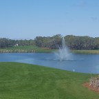 Florida garden walk…