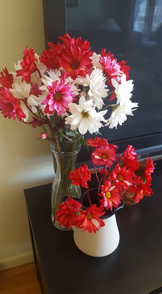 28576508_10155474484294952_5910799336387641344_n