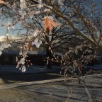 Here comes the sun…