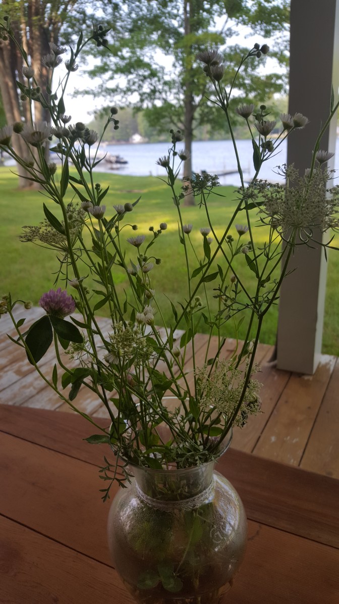 august wild flowers 1