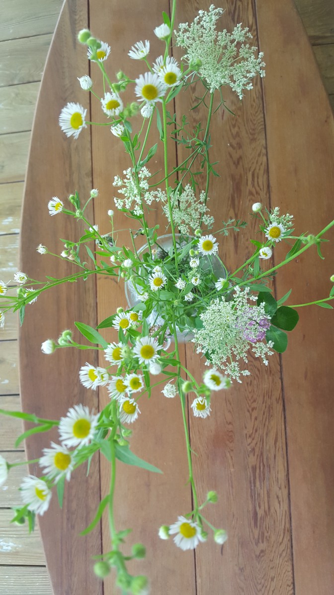 august wild flowers 2