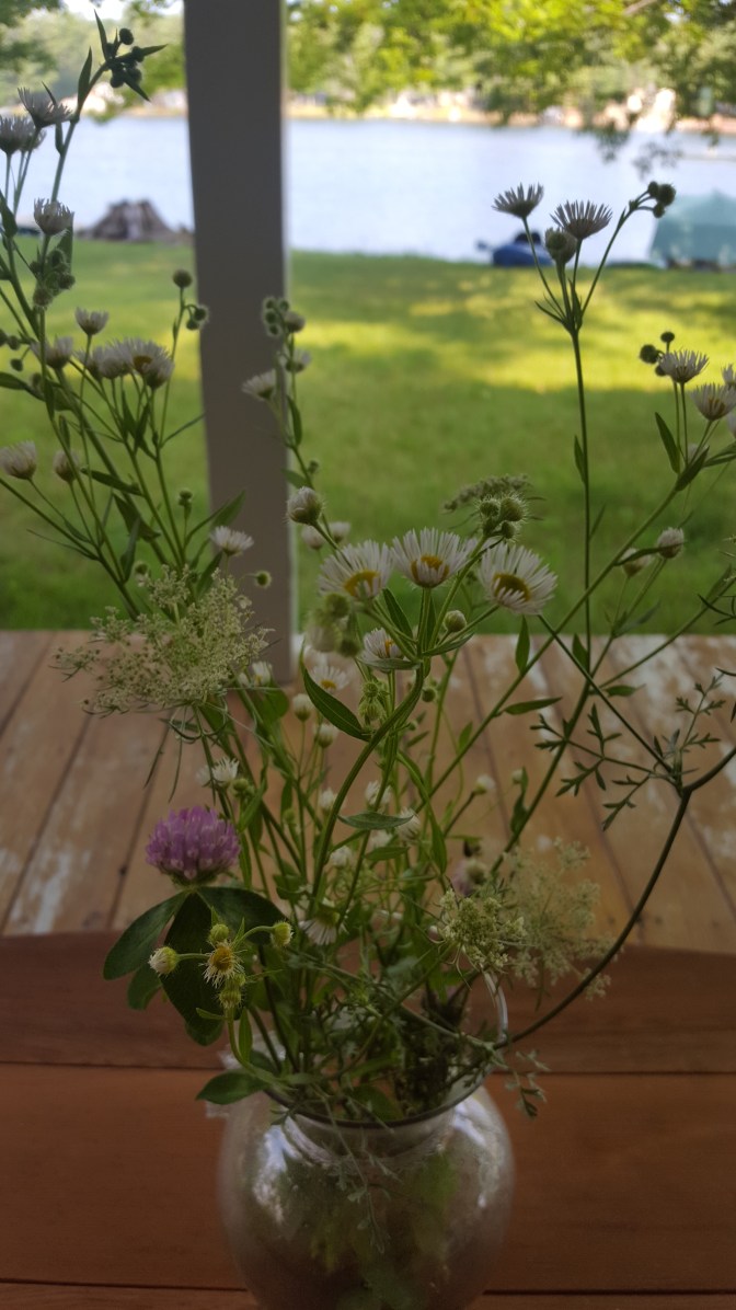 august wild flowers 3