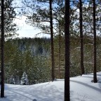 Winter’s Beauty…