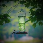 5 Beautiful Things…