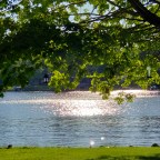 5 Beautiful Things…