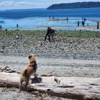 Pacific Northwest Road Trip: Day 17