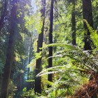 Pacific Northwest Road Trip: Day 11